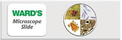 Histology Slide Replacement Fee – MedOPS